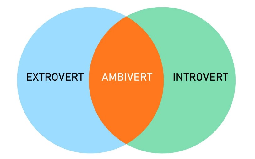 introvert extrovert 1
